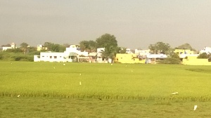 Housing extending into paddy fields